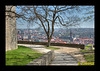 Festung Marienberg in Würzburg