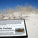 White Sands National Monument Nature Trail (6211)