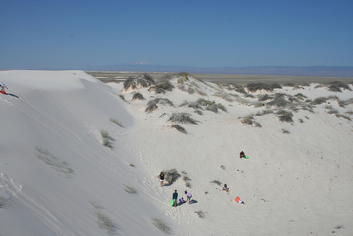 White Sands National Monument Nature Trail (6214)
