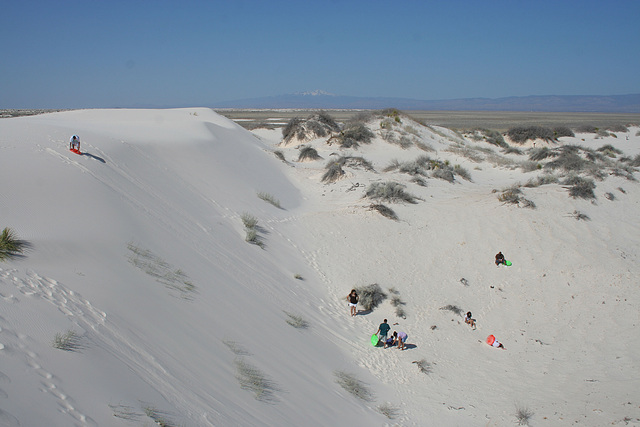 White Sands National Monument Nature Trail (6215)