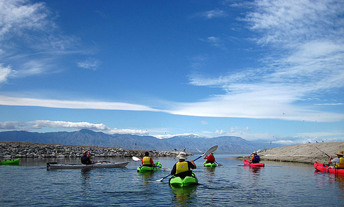 Kayaking On The Salton Sea (0723)
