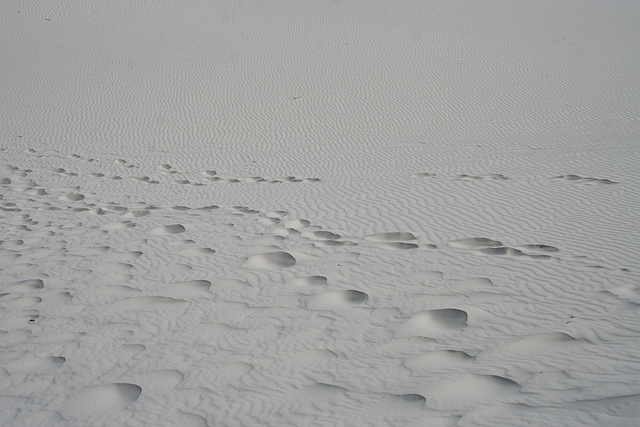 White Sands National Monument Nature Trail (6218)