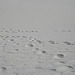 White Sands National Monument Nature Trail (6218)