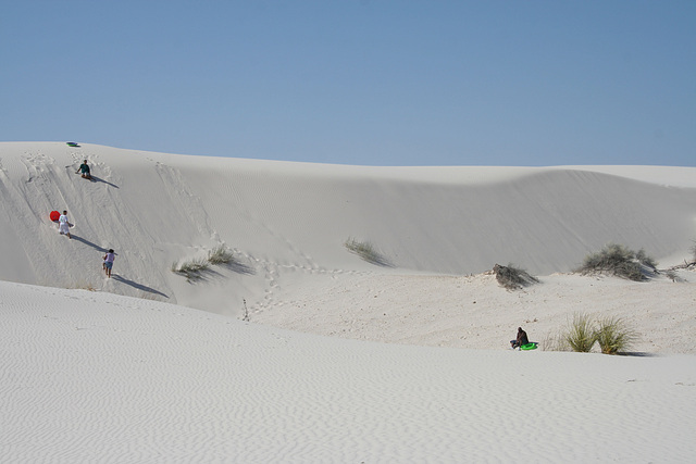 White Sands National Monument Nature Trail (6219)