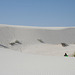 White Sands National Monument Nature Trail (6219)