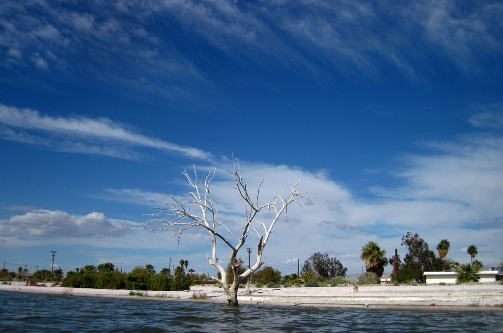 Kayaking On The Salton Sea (0734)