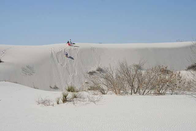 White Sands National Monument Nature Trail (6222)