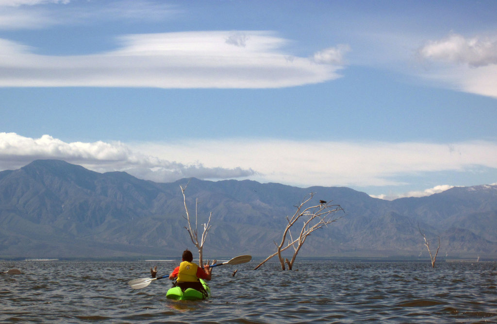 Kayaking On The Salton Sea (0741)