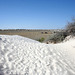 White Sands National Monument Nature Trail (6223)