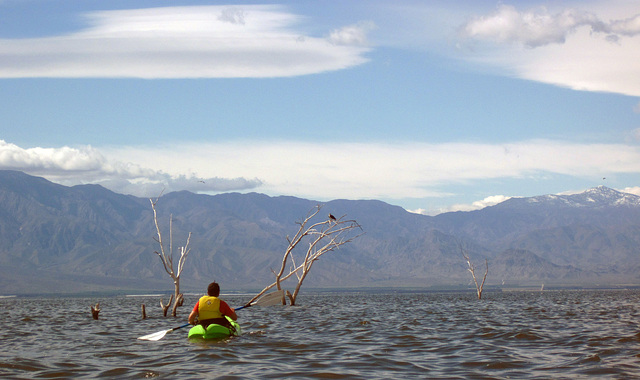 Kayaking On The Salton Sea (0742)