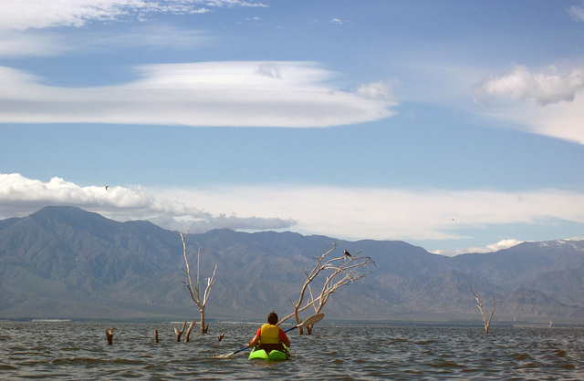 Kayaking On The Salton Sea (0743)