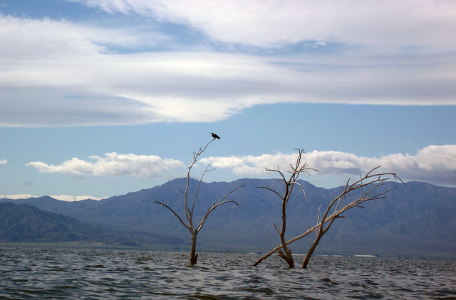 Kayaking On The Salton Sea (0745)