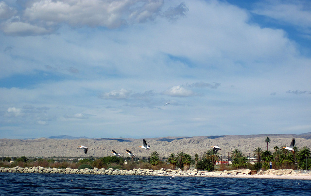 Kayaking On The Salton Sea (0754)