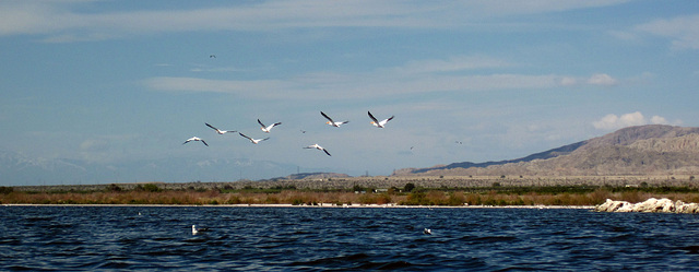 Kayaking On The Salton Sea (0755)