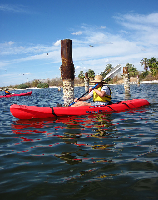 Kayaking On The Salton Sea (0775)