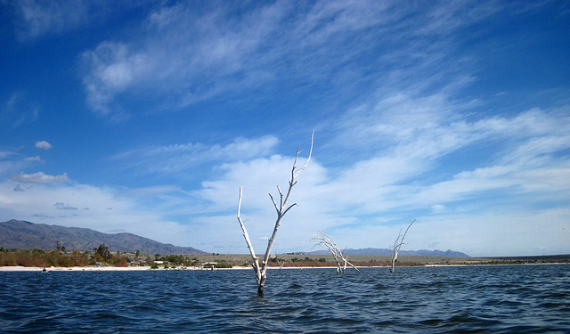 Kayaking On The Salton Sea (0783)