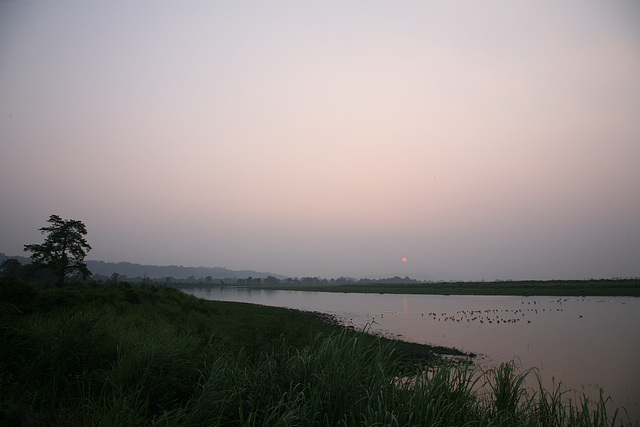 Evening in Kaziranga