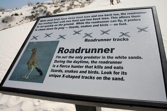 Ronnie Roadrunner (6197)