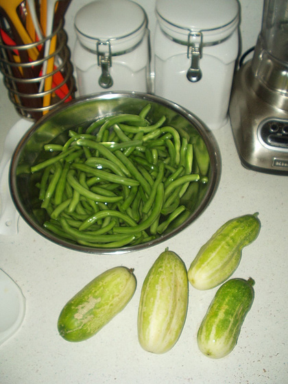 My first veggie harvest, summer 2014