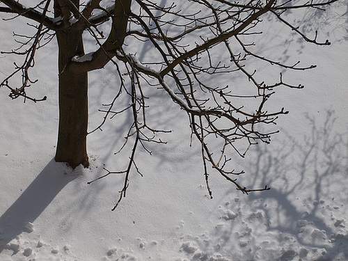 Neuschnee