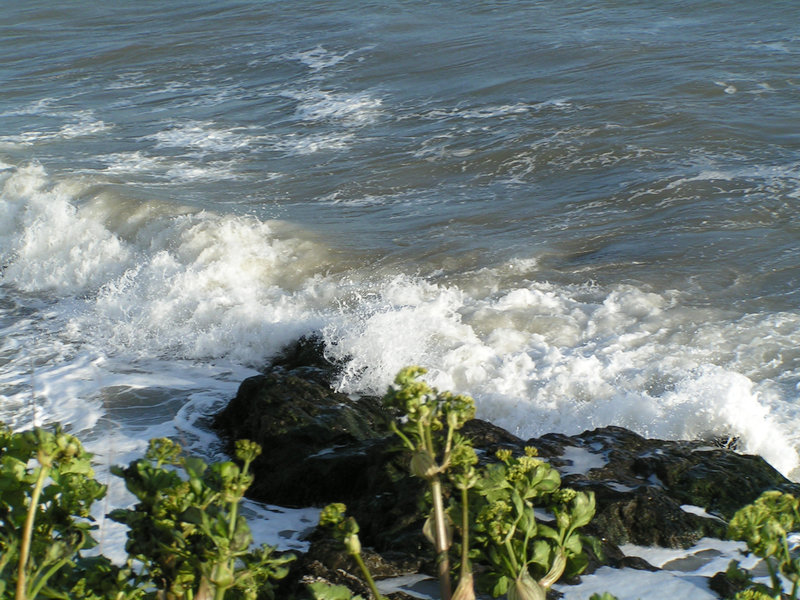 Bigbury Bay