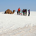 White Sands National Monument Camel (6226)