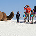 White Sands National Monument Camel (6227)