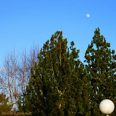 Photo à 2 boules