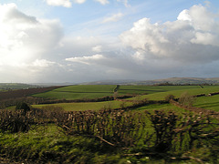 Devon