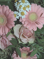 Testreihe blasseFarben