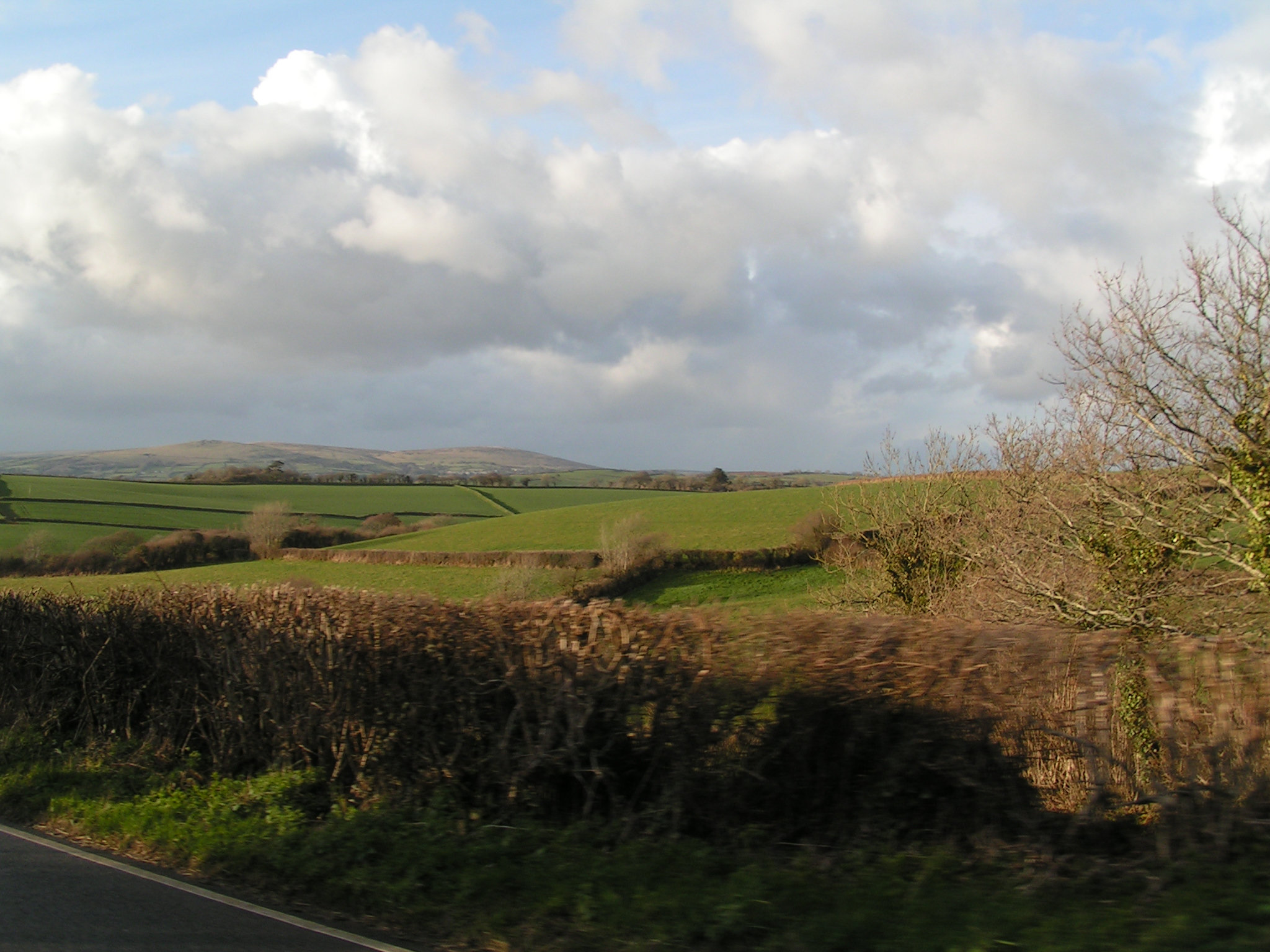 Devon