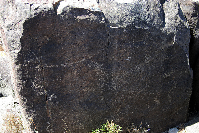 Three Rivers Petroglyphs (5891)
