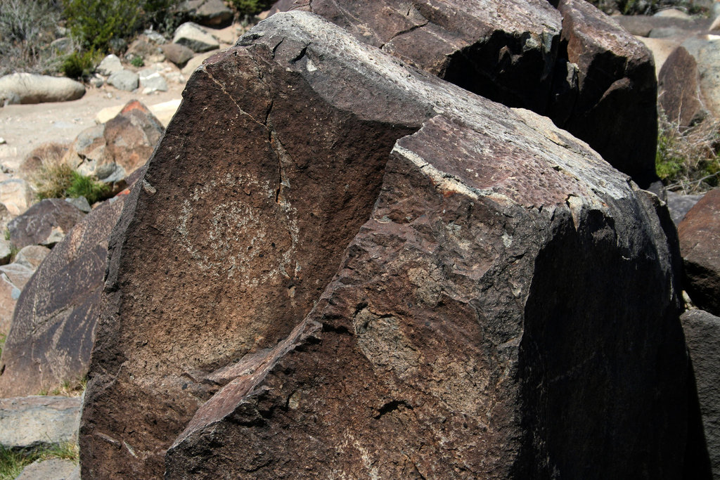 Three Rivers Petroglyphs (5895)