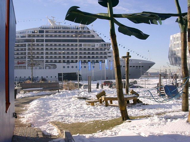 MSC MAGNIFICA in Hamburg