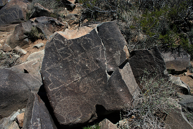 Three Rivers Petroglyphs (5897)