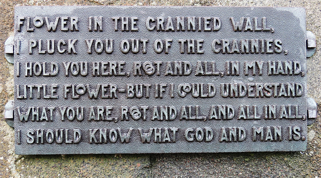 tennyson statue, lincoln