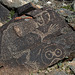 Three Rivers Petroglyphs (5902)