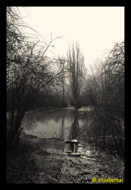 Natural monument spring "Schafbrunnen" in Wuerzburg-Heuchelhof