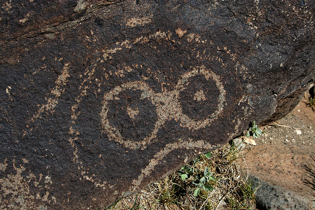 Three Rivers Petroglyphs (5905)