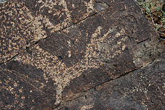 Three Rivers Petroglyphs (5906)