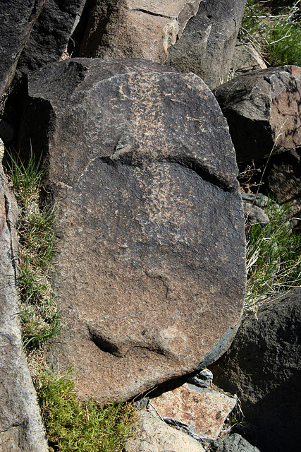 Three Rivers Petroglyphs (5908)