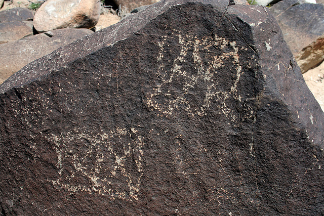 Three Rivers Petroglyphs (5909)