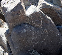 Three Rivers Petroglyphs (5911)