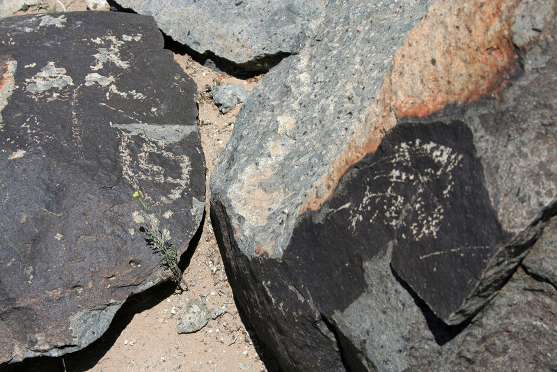 Three Rivers Petroglyphs (5912)