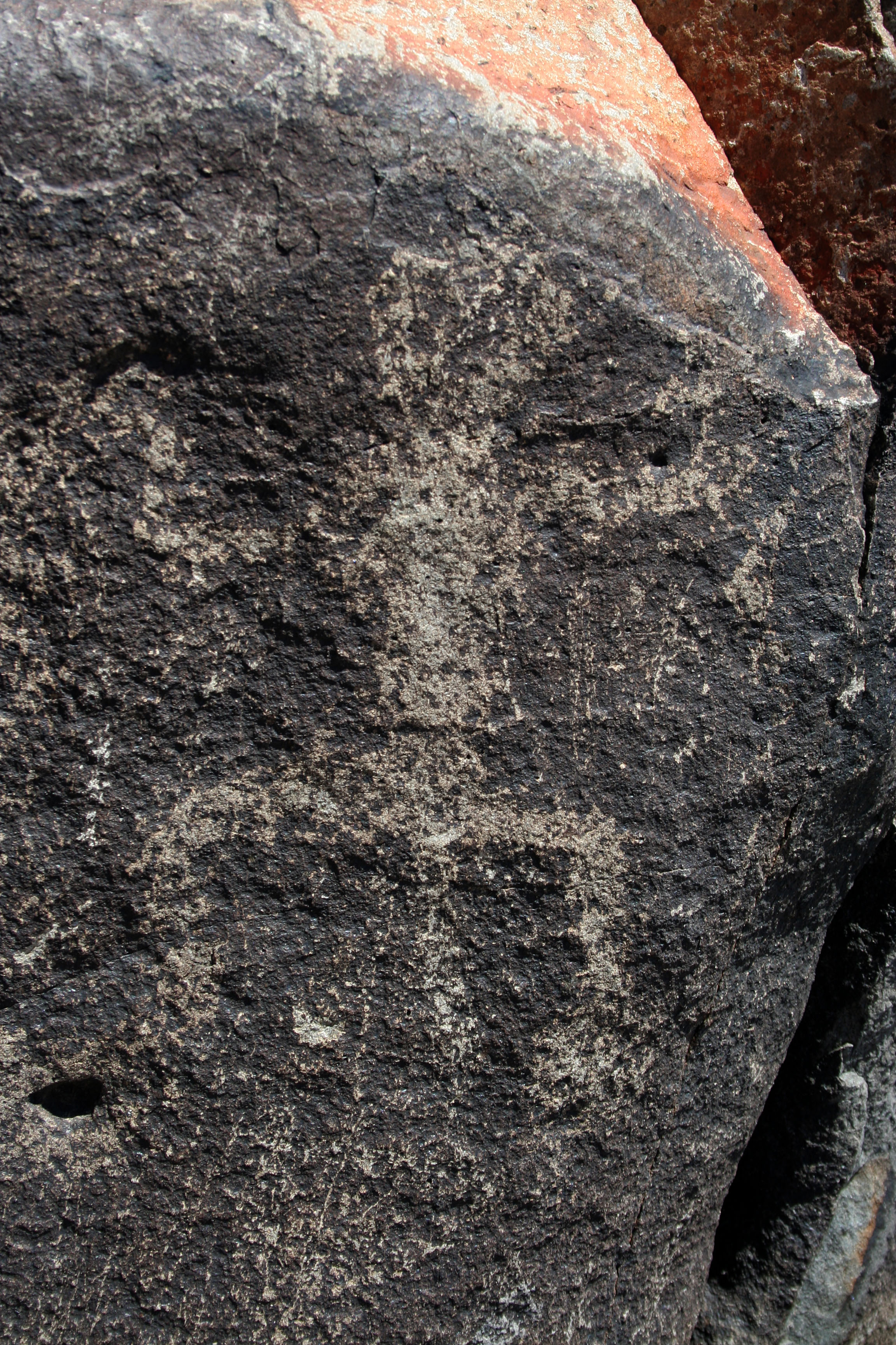 Three Rivers Petroglyphs (5913)