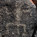 Three Rivers Petroglyphs (5913)