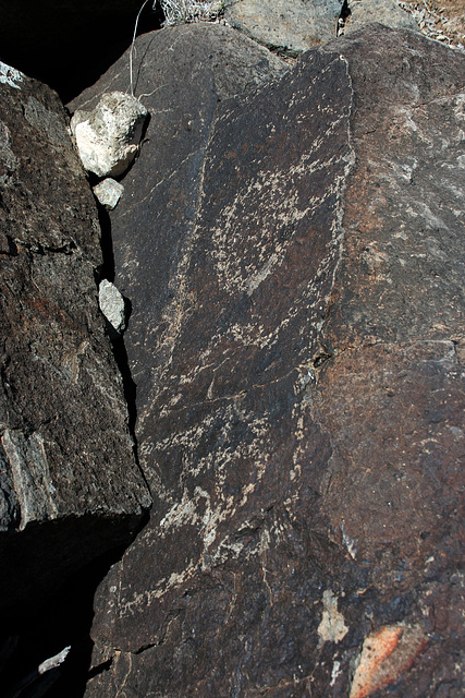 Three Rivers Petroglyphs (5915)