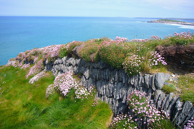 Pentire headland