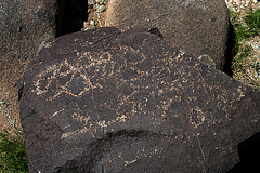 Three Rivers Petroglyphs (5916)