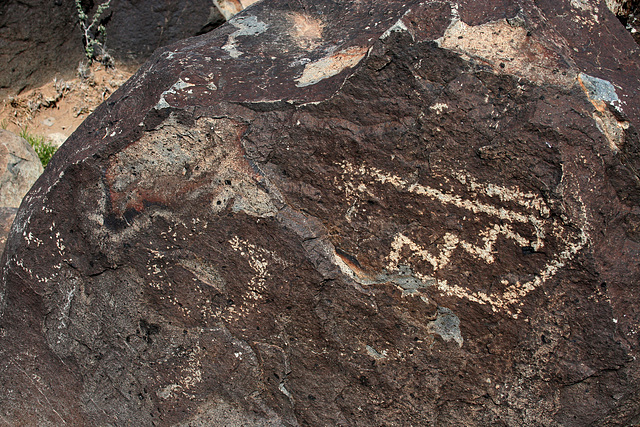 Three Rivers Petroglyphs (5917)